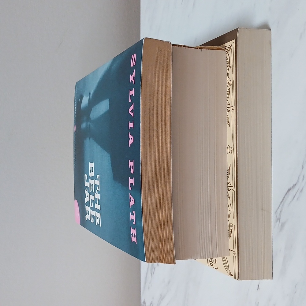 Sylvia Plath Book Collection - Picture 5 of 16